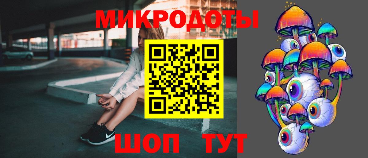 Псилоцибиновые грибы Cubensis Кисловодск