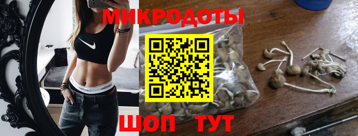 Псилоцибиновые грибы Cubensis  Вход с VPN  Кисловодск 